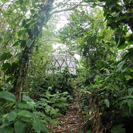 Taorayina Nature Lodge- Immersed In The Forest El Zaino Exterior foto