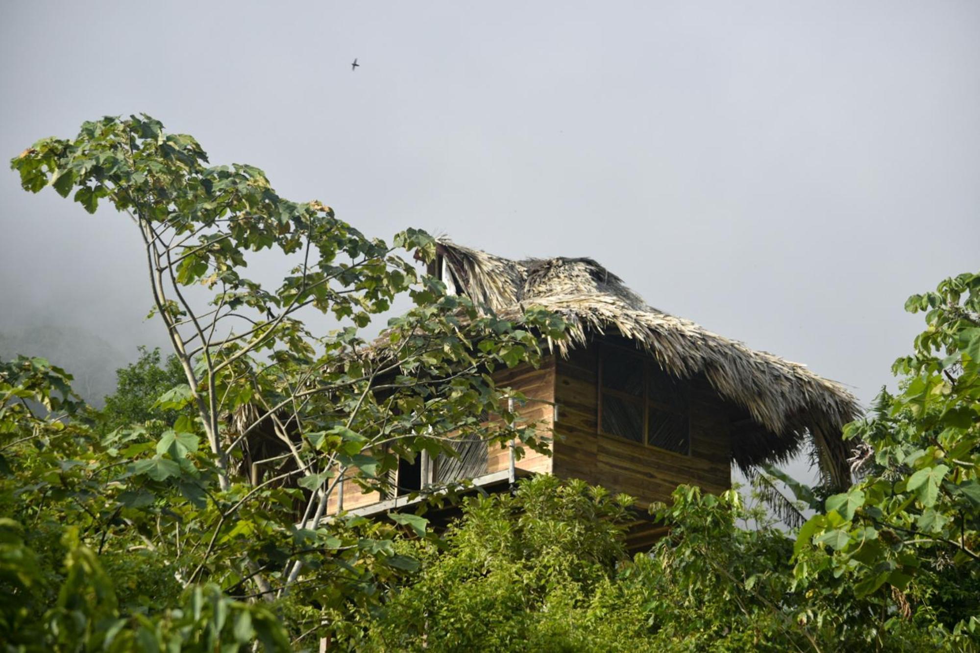 Taorayina Nature Lodge- Immersed In The Forest El Zaino Exterior foto