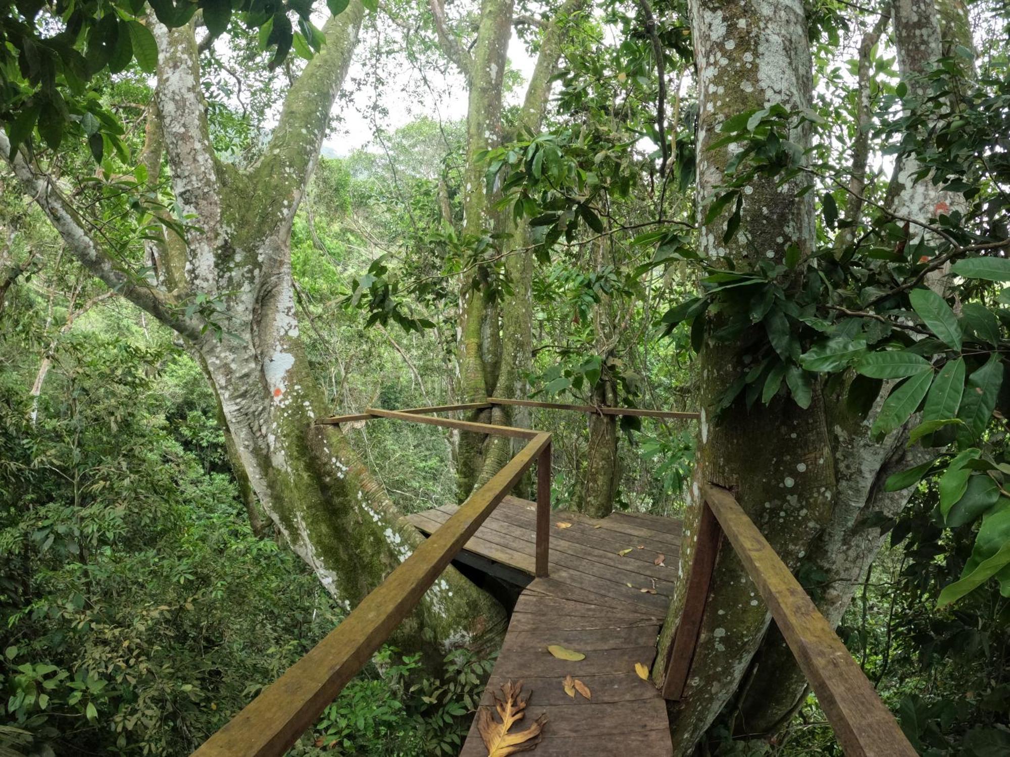 Taorayina Nature Lodge- Immersed In The Forest El Zaino Exterior foto