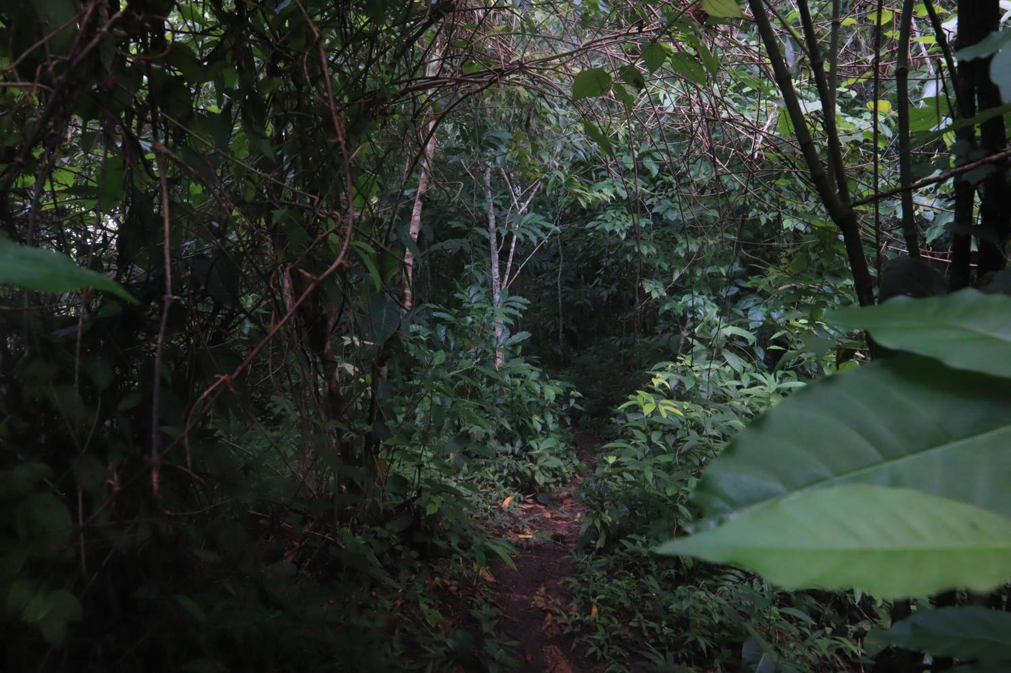 Taorayina Nature Lodge- Immersed In The Forest El Zaino Exterior foto